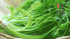 挑選鮮嫩的香菜，洗干凈后，處理成小段。